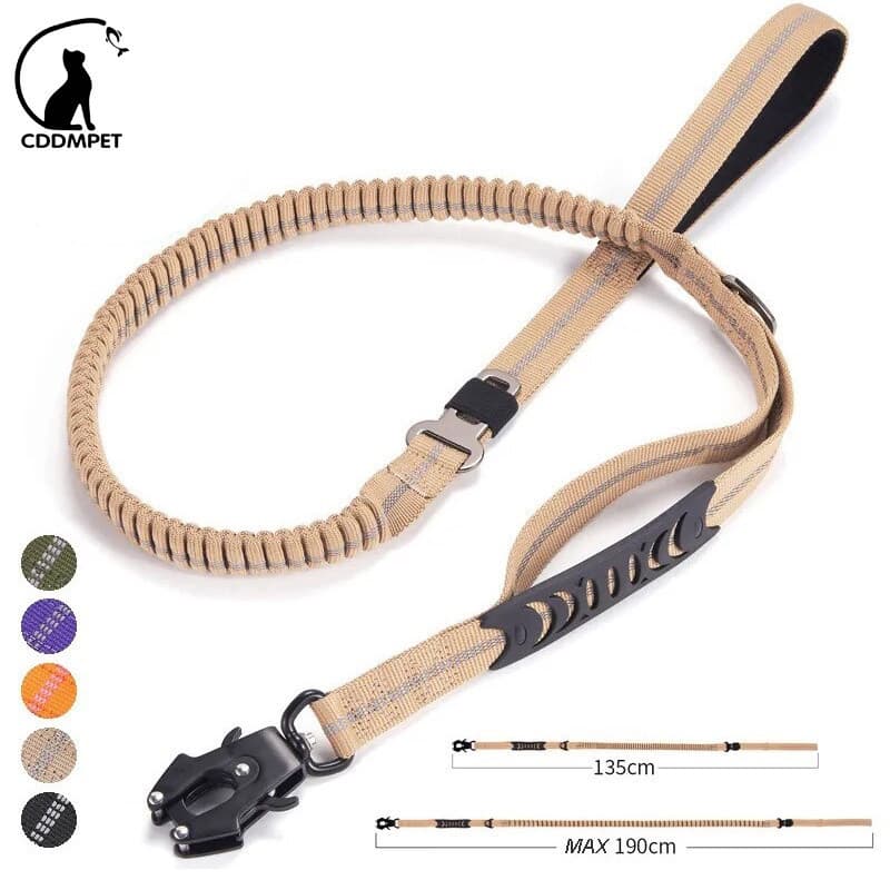 Coleira resistente para cães de grande porte, equipada com fivela e dispositivo de fixação para cinto de segurança de ca
