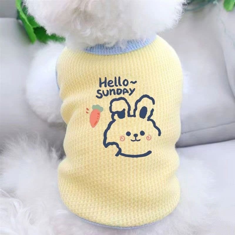 Roupas Para Cães Pequenos Gatos Verão Desbaste Respirável Bichon Francês Corgi Teddy Filhote De Cachorro Traje Animais D