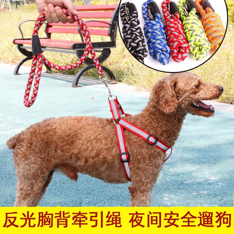 Corda redonda de náilon reflexiva trela do cão cinta peito colete estilo Teddy cão andando corda Universal para cães peq