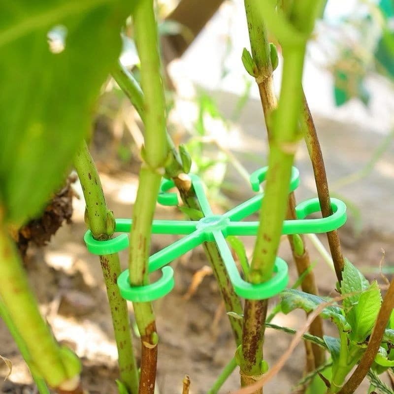 Clipe De Fixação grampo De Hastes Plantas Gancho regular 4x