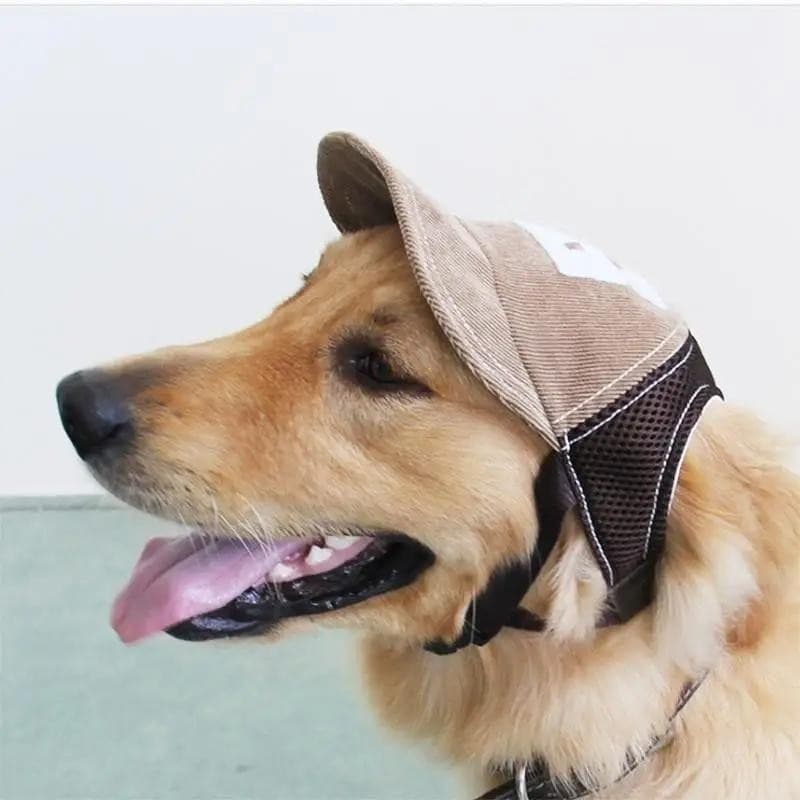 Moda Simples Respirável Bonés De Beisebol Cão Viagem Cães De Estimação Esportes Chapéus De Sol Suprimentos Para Animais