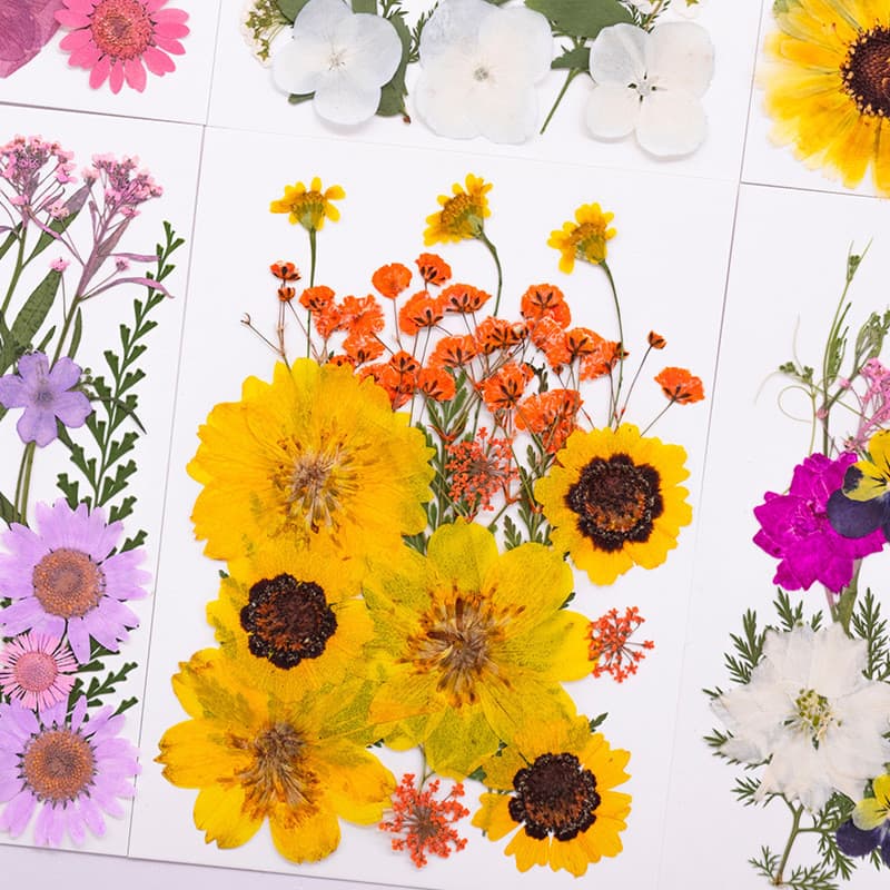 |Flor realmente seca em relevo influenciador adesivos rosto diy decoração olho canto adesivos pétala maquiagem nupcial p