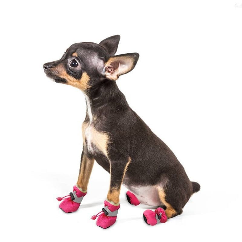 Conjunto de 4 peças de botas impermeáveis para cães de estimação, botas de chuva antiderrapantes para Chihuahua, calçado
