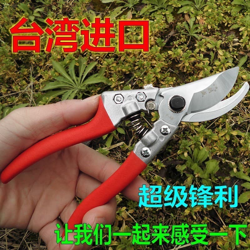 Taiwan importou Liu Sheng P-A8 Tesouras de jardinagem Tesouras de poda Tesouras de galhos grossos Tesouras de flores Tes