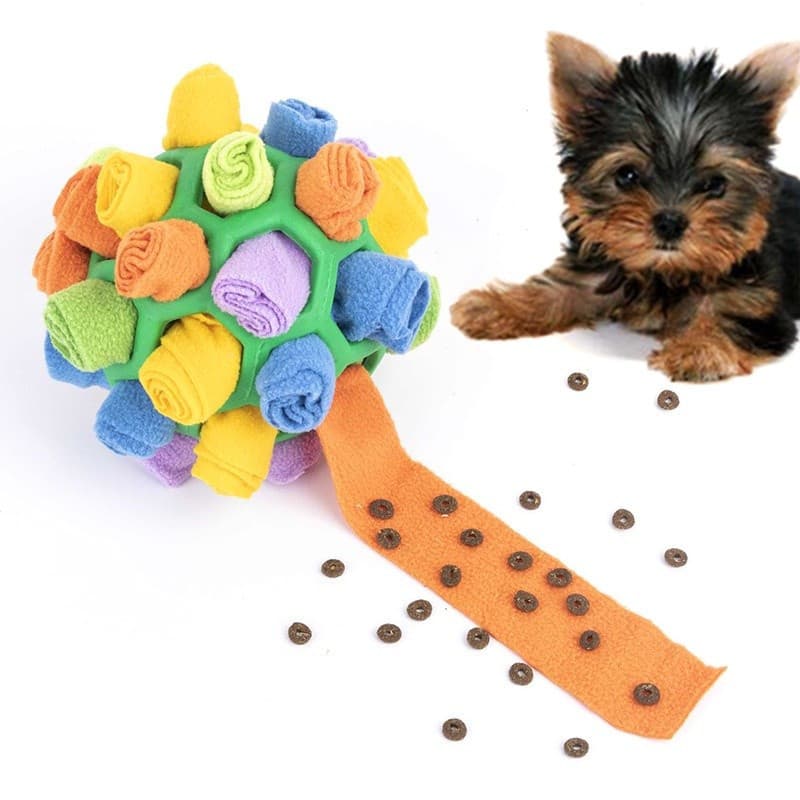 Brinquedos Interativos Da Bola Do Cão Para Cães Animais Que Treinam O Cheiro Nariz Cheirando A Mastigação