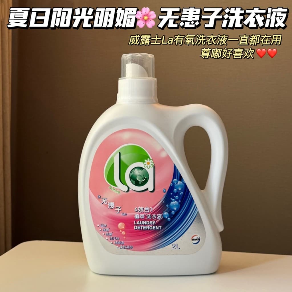 Summer Sunshine Bright Beauty ~ Walus la Sapindus 6 em 1 Extrato de planta Detergente para roupas Esterilização Remoção