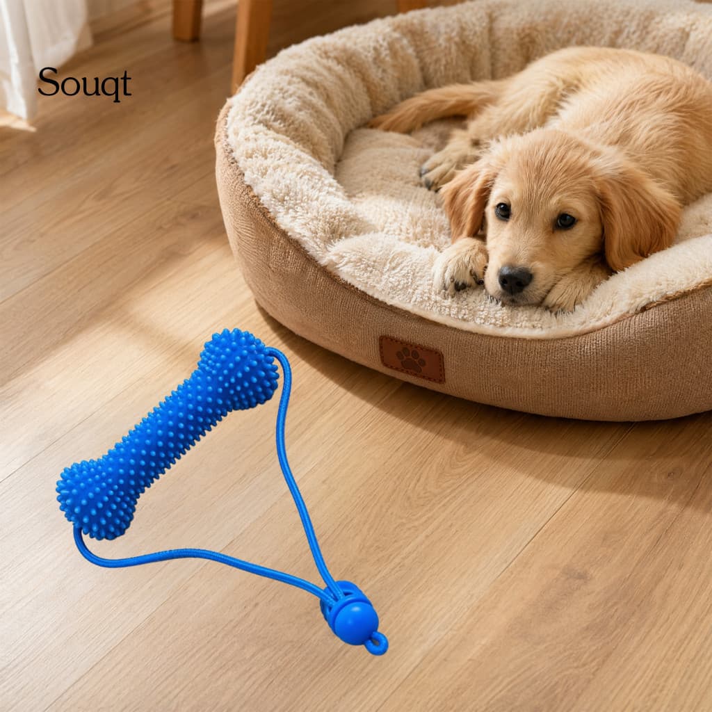 Dog Chew Toy with Rope – Durable Dental Stick for Puppies Dogs Teeth Grinding for Small Medium Breeds Healthy Gums Fun