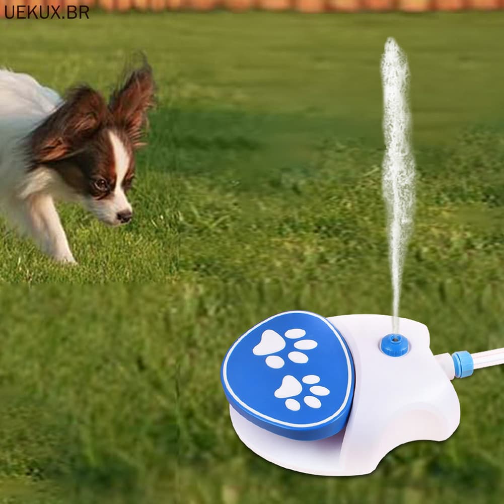 O Dispensador De Água Para Cães De Quintal Promove Hidratação Em Clima Quente