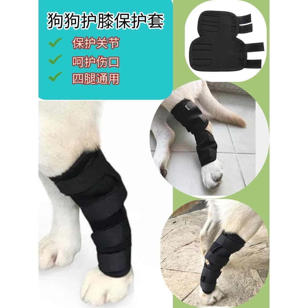Joelheiras para cães feridas, proteção fixa para recuperação, equipamento de proteção para articulações, correção Anti-l