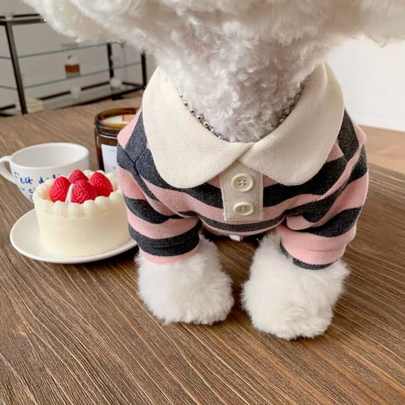 Roupa para Cães Listrada Preta, Camisa Polo para Schnauzer, Vestido de Verão para Yorkshire, Leggings para Filhotes, Pul
