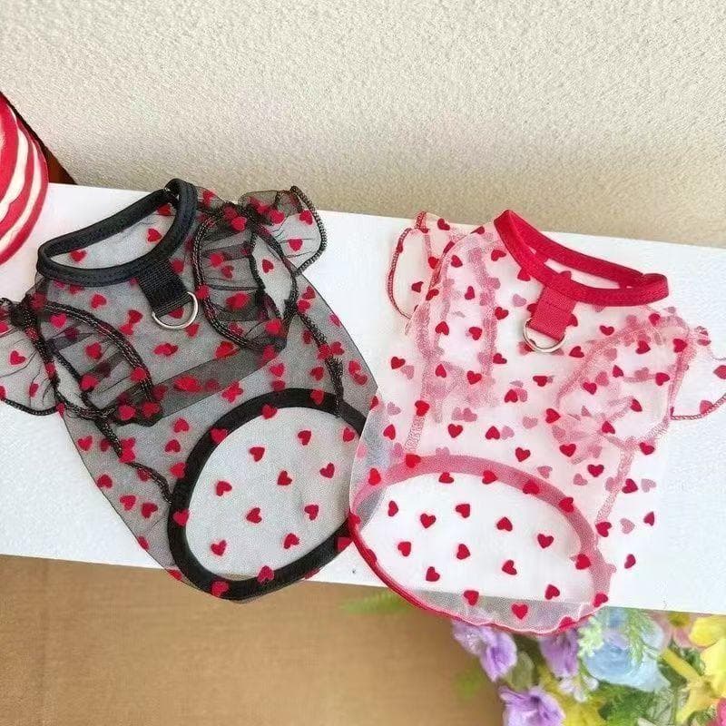 Roupas para animais de estimação pequeno urso cabeça esquilo Base estilo roupas para animais de estimação Anti-sujeira