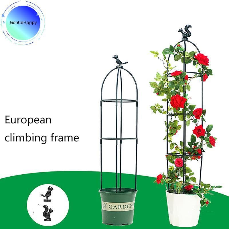 GentleHappy 1 Conjunto De Plantas De Escalada Treliça Gaiolas De Suporte De Jardim Para Flores Quadro DIY Flor Videiras