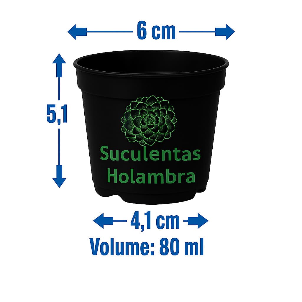 Kit 100 Vasos Pote 6 - REFORÇADO Cor Preta 80 ML Suculentas Cactos Suculentas Cactos