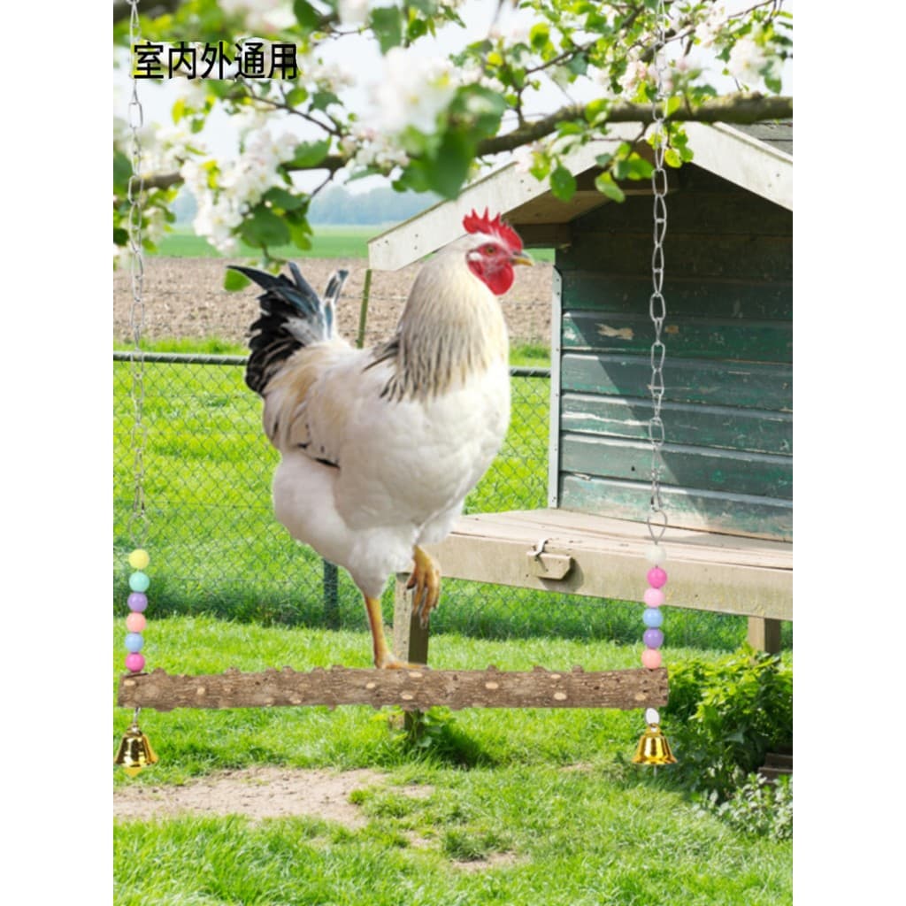 Balanço de papagaio para animais de estimação, frango, galinha, galo, contas coloridas, pimenta Sichuan, vara de madeira