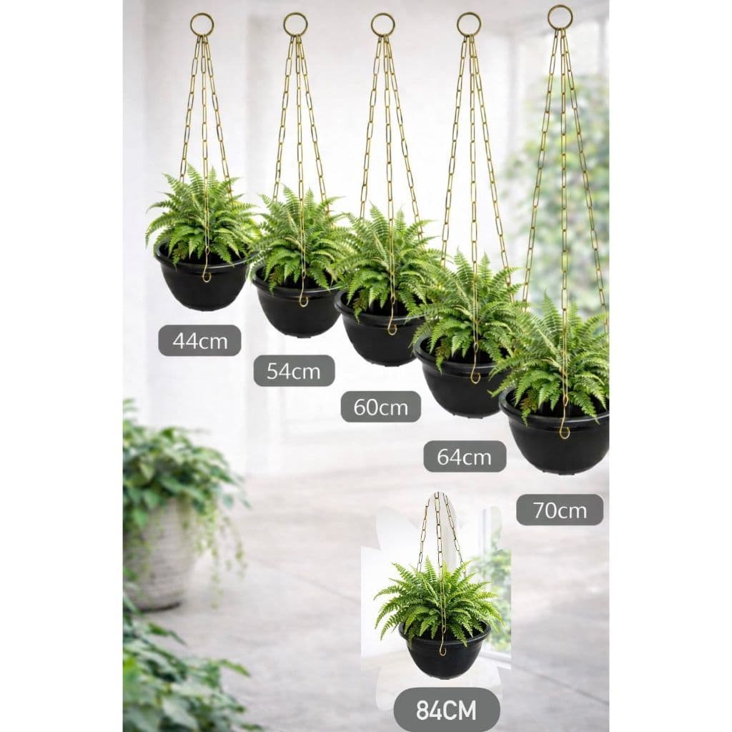 Kit 12 Correntes Vasos Xaxim para Pendurar Jardim e Plantas