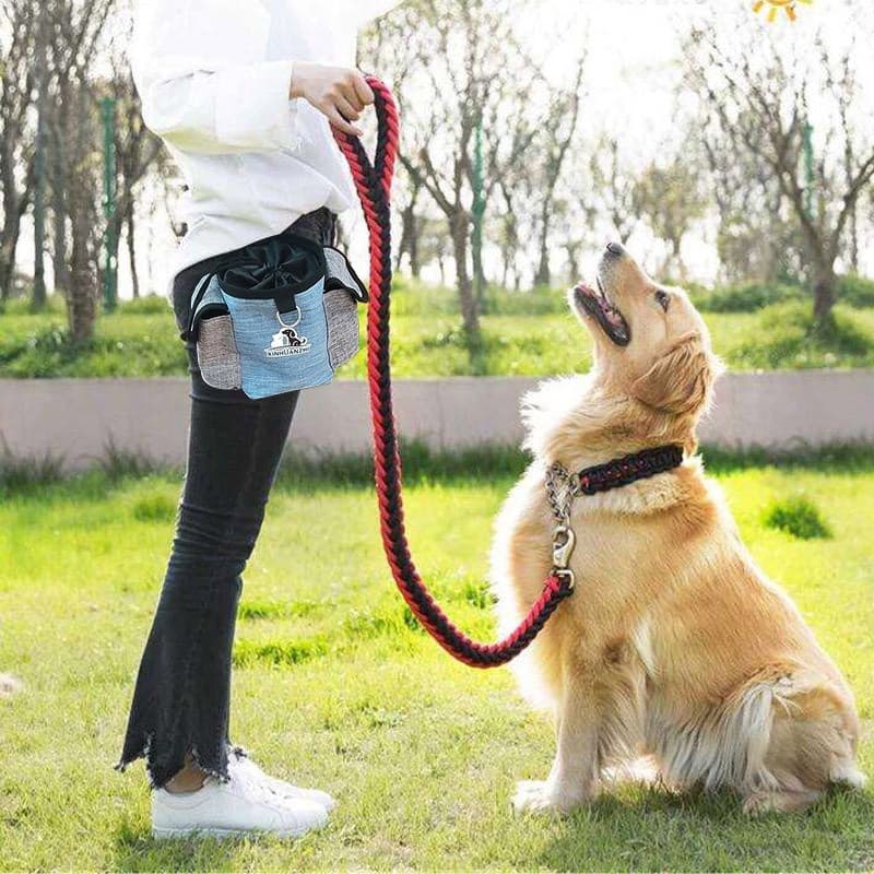 Bolsa Portátil Para Saída De Cachorro E Gato De Estimação , Reflexiva De Grande Capacidade SD