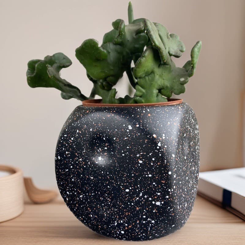 Casa jardinagem suculenta vaso de flores Cactus planta vaso de plantas utensílios vaso de flores criativo dados de
