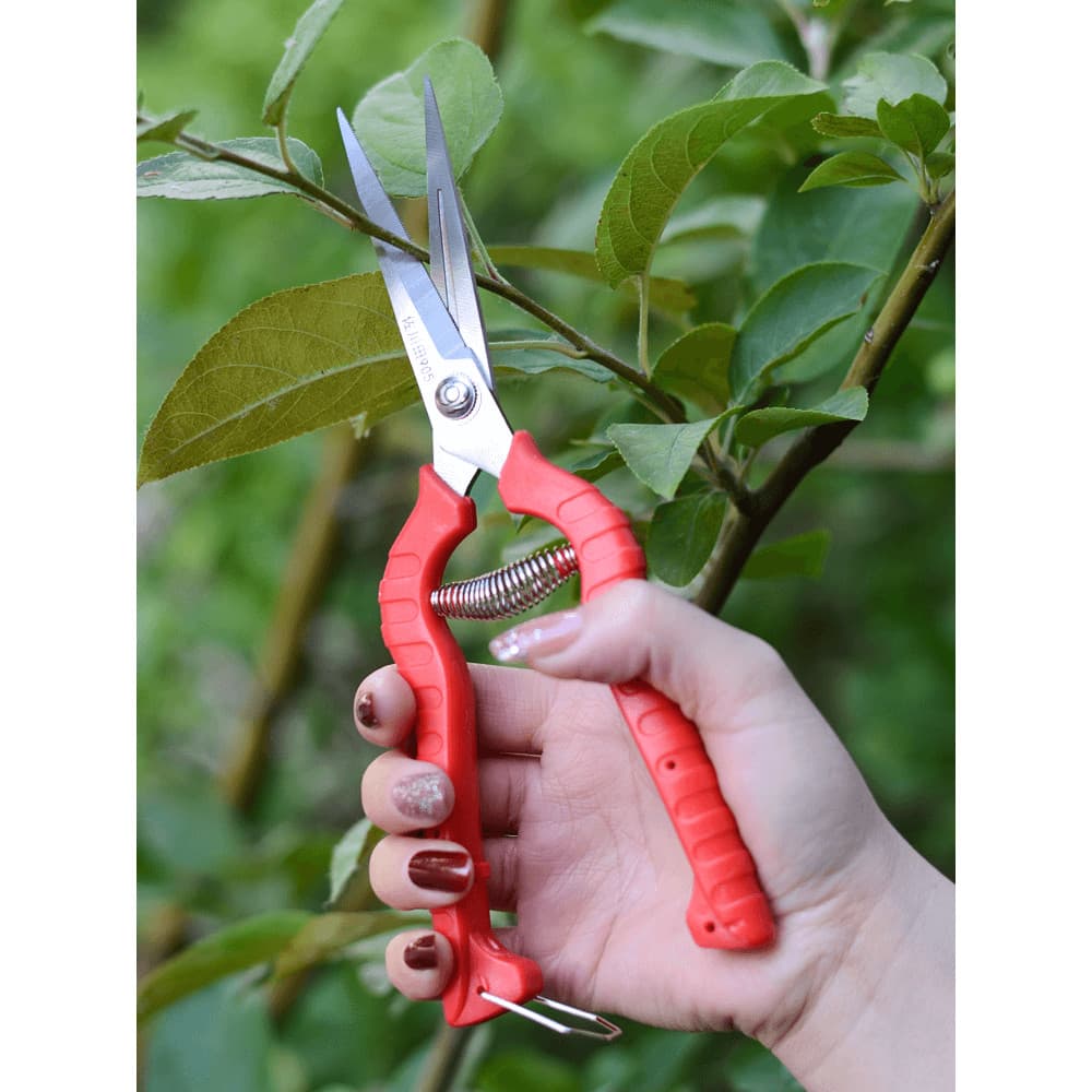 Tesouras de poda Tesouras de poda especiais de poda Jardinagem Rosa Ramos finos Afiados Tesouras de flores domé