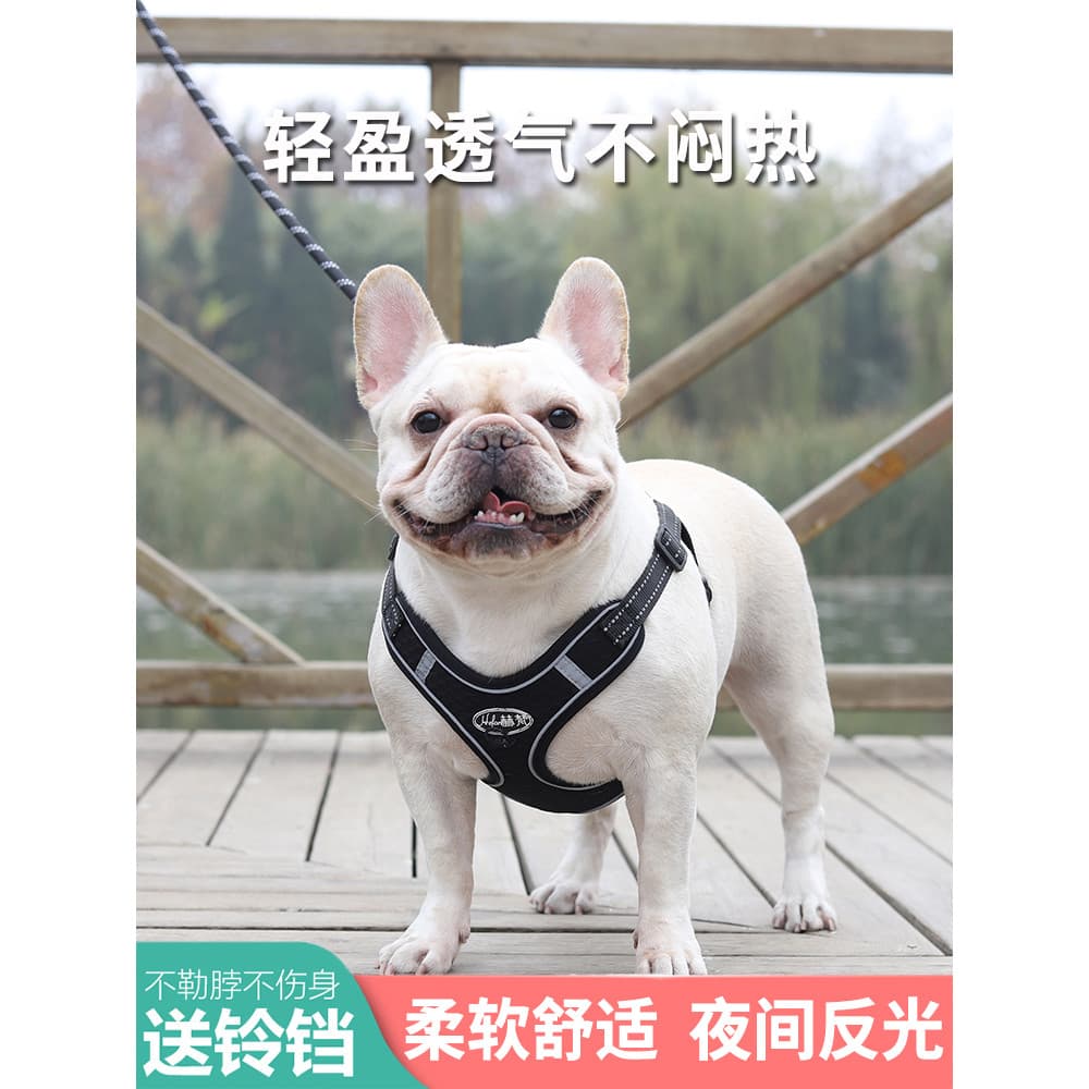 Coleira para cachorro à prova de explosão, estilo buldogue francês, Corgi, pequeno, médio porte, alça peitoral, cachorro