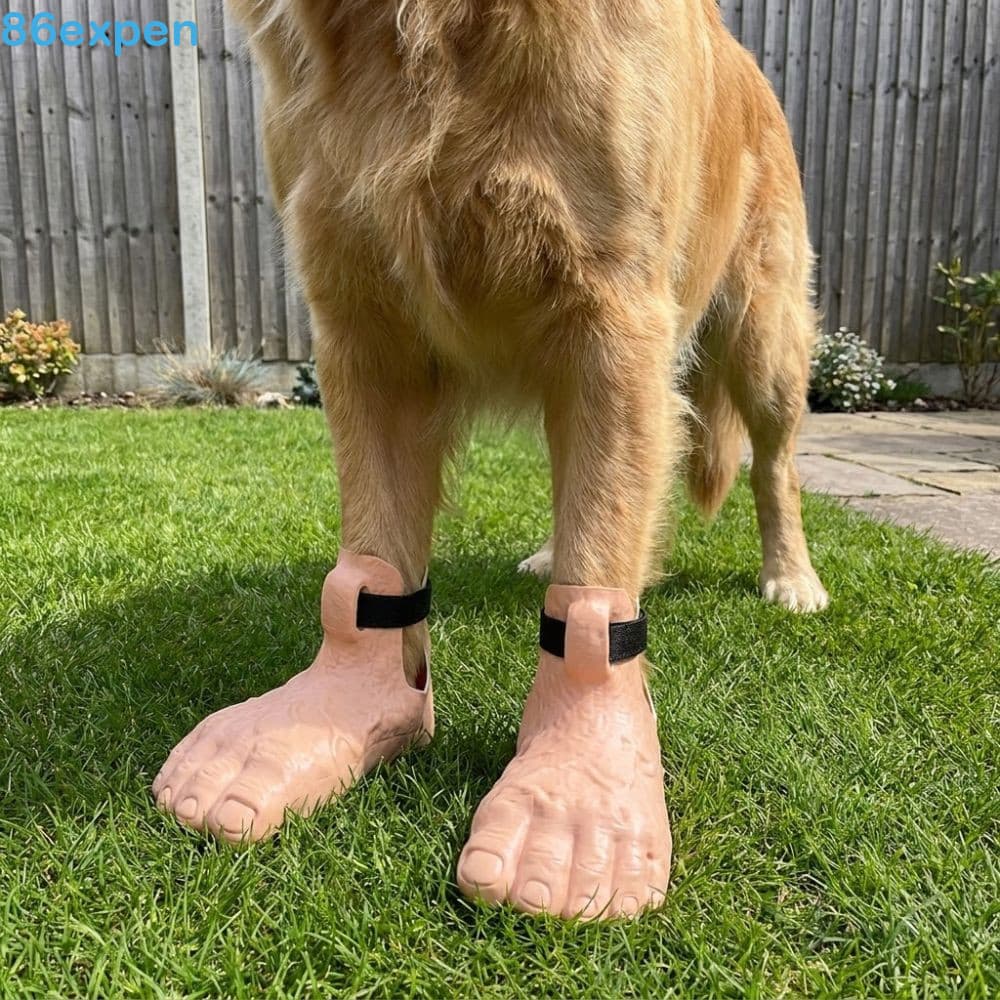 EXPEN1 2 Peças Botas De Cachorro Novidade , Sapatos Engraçados Ajustáveis Para Pés Humanos , Capas Impermeáveis Antiderr