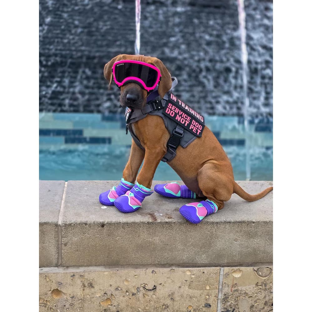 Novo estilo sapatos para cães verão respirável confortável sapatos para animais de estimação Golden Retriever Shiba Inu