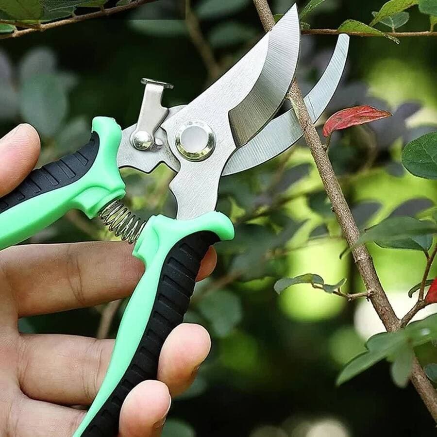 Tesoura de Poda Tesoura Super Afiada para Jardinagem vivaloja_viva