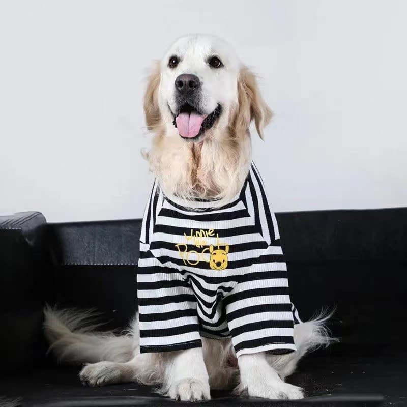 Roupas Para Cães Grandes , Finas , Primavera E Outono , Labrador , Cabelo Dourado , Anti-, Fofas Animais De Estimação