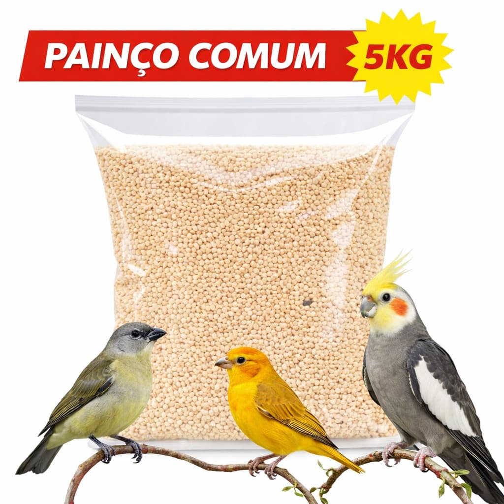 Painço Comum à granel 5kg - Passaro  Calopsita Coleiro Periquito
