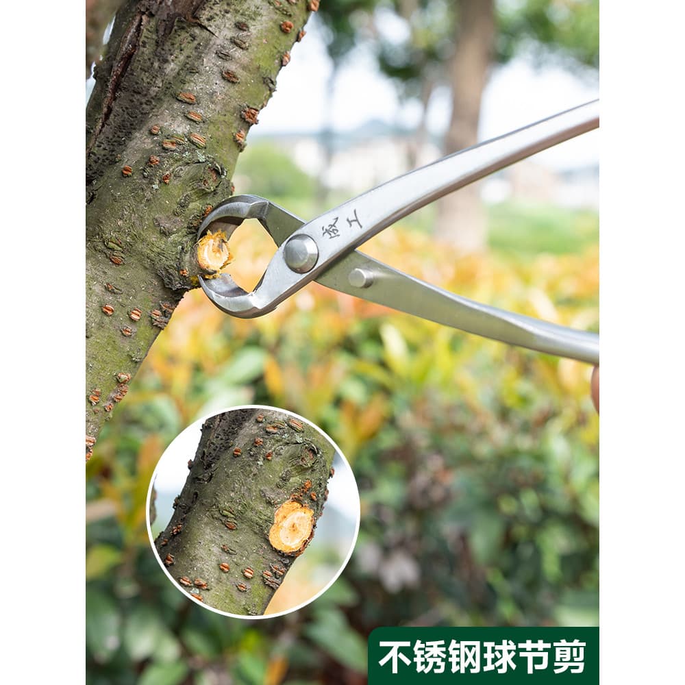 Tesoura de bola de aço inoxidável, tesoura Diagonal, ferramentas para Bonsai, modelagem especial, jardinagem, botões de