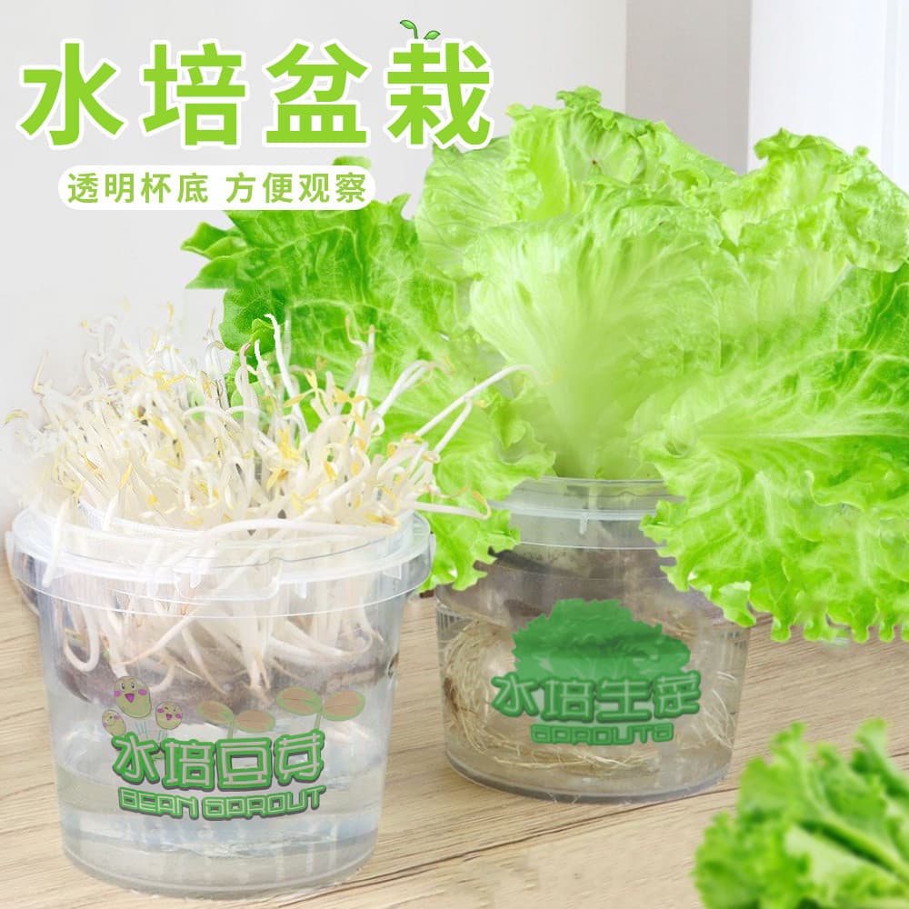 Pequenos lucros vendas de volume de negócios crianças observação pequeno plantio experimentos de água cultivo jardim de