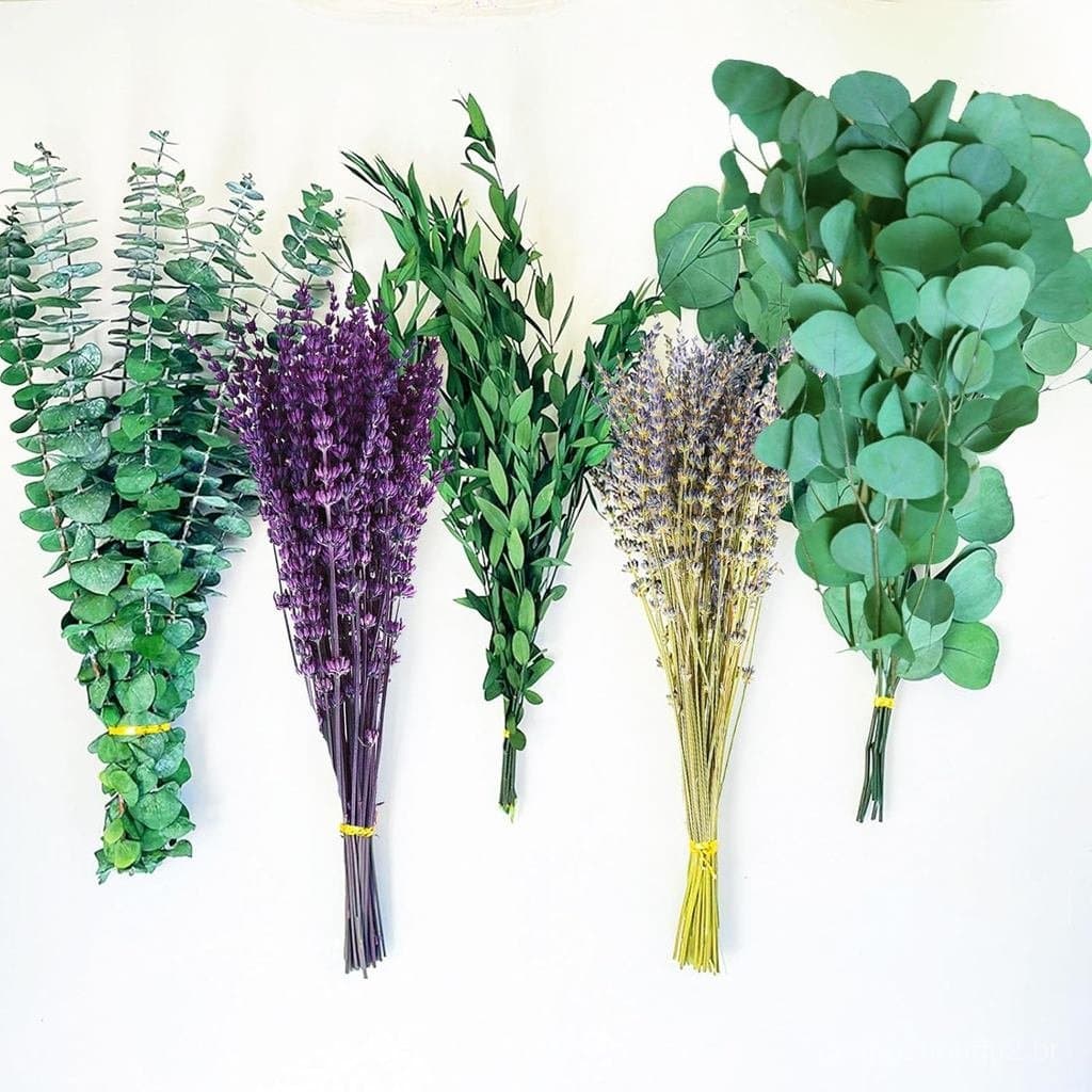 Fortunate Flower 120+ Peças de Lavanda e Eucalipto Secos para Chuveiro, Plantas de Eucalipto Frescas, Plantas de Lavanda