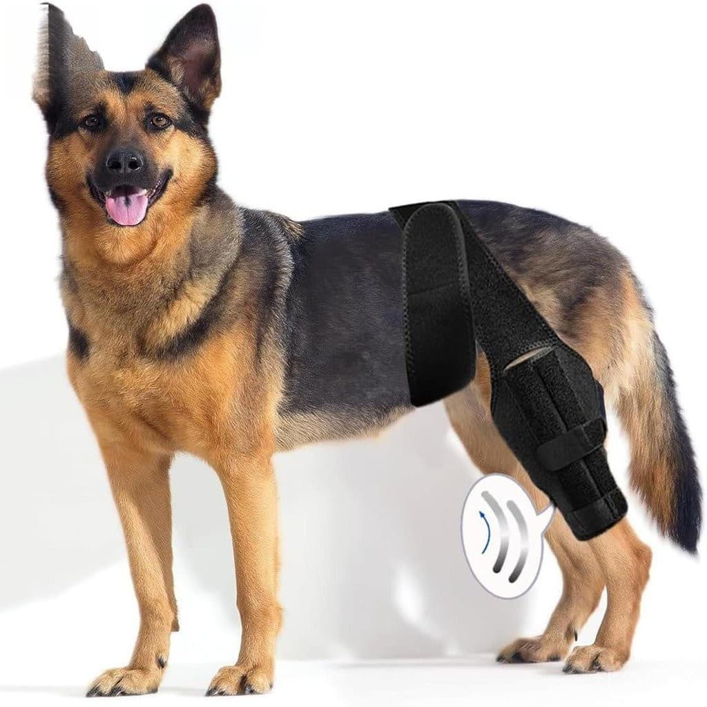 Joelheira Para Cachorro Perna Traseira E , Suporte Forte De , Pernas Traseiras Dianteiras