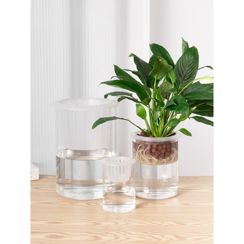Vaso de vidro hidropônico, simples, doméstico, transparente, reto, cilíndrico, endro verde, palma branca, cultura de águ