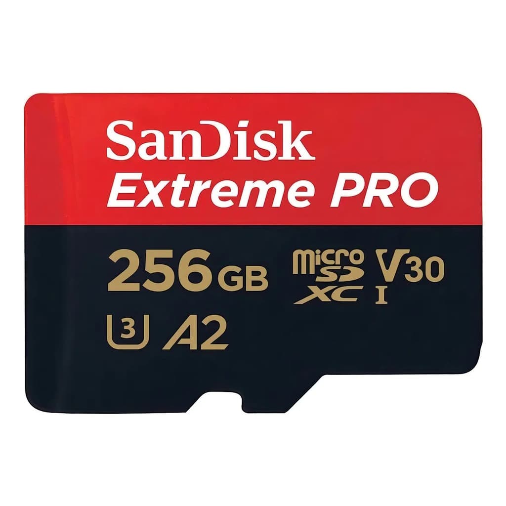 cartao de memoria de 256 Gb 170 mbs ww