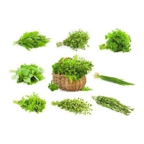 PROMOÇÃO 145 Sementes De Ervas 9 Espécies Hortas Para E Vasos + MANUAL DE CULTIVO