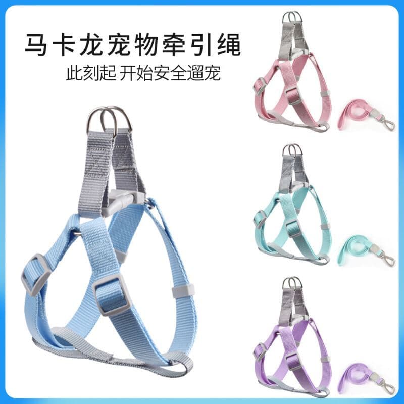 Coleira com alça para cachorro, estilo roxo, coleira para caminhada, cachorro pequeno, trela azul