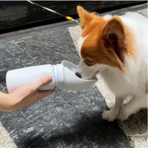 Bebedouro Portátil para Pets Silicone mantenha hidratado animais portáteis rua passeio durável