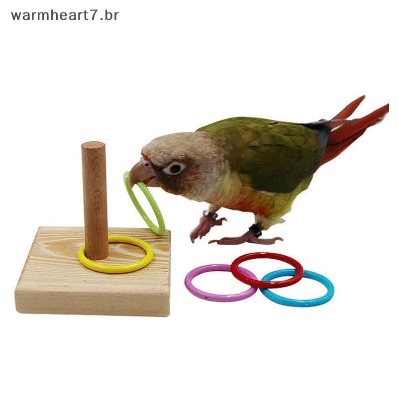 Anel De Treinamento De Pássaros Quente Brinquedo Papagaio Brinquedos Educativos Anéis Interativos Coloridos Para Exercíc