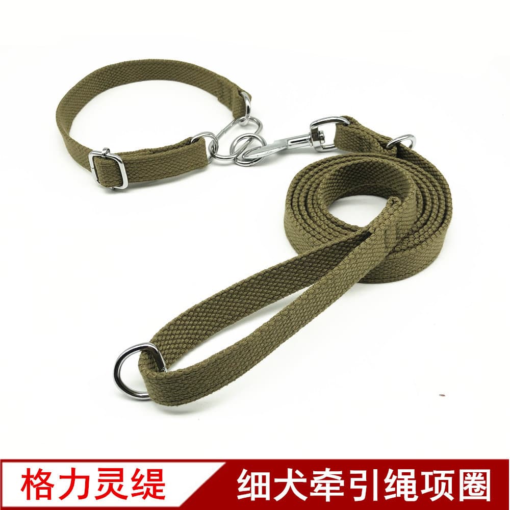 Coleira para cães, coleira para animais de estimação, tamanho médio, caminhada, fina, Gree, à prova de explosão, Okinawa
