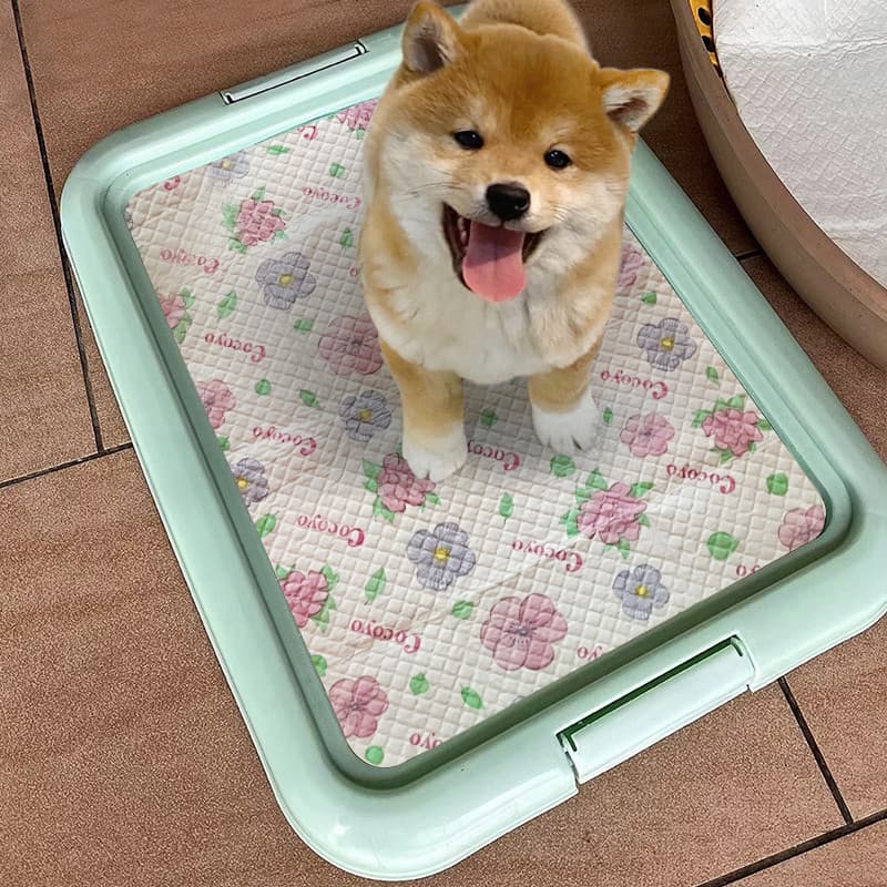 Cão toalete pequeno filhote de cachorro não pés molhados Anti-piso merda toalete do cão grande médio cão plana toalete p