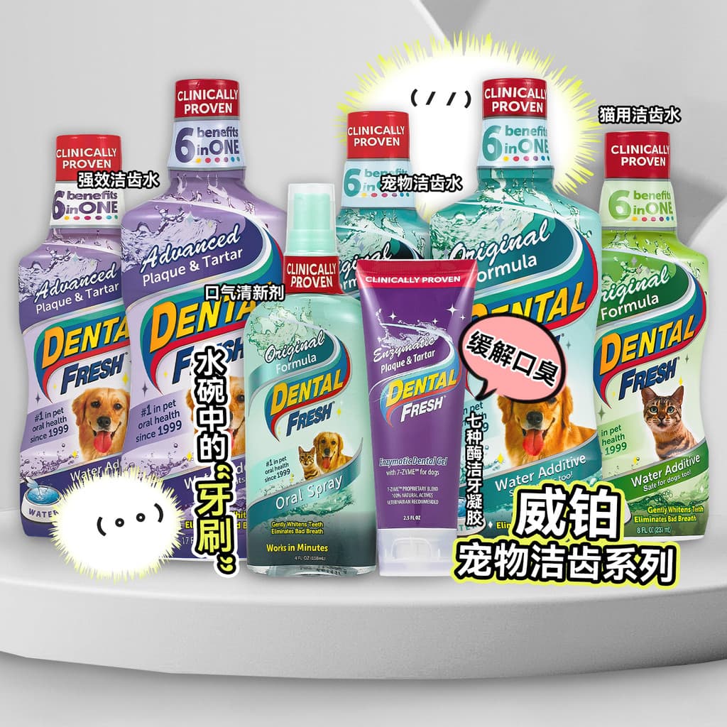 Loja de porcos brancos Weibo EUA Limpador de dentes importado Spray Universal para gatos cães remover mau hálito cálculo