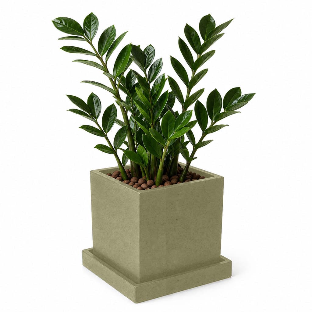 Vaso de Plantas Quadrado com Prato para Plantar e Decorar 20x20