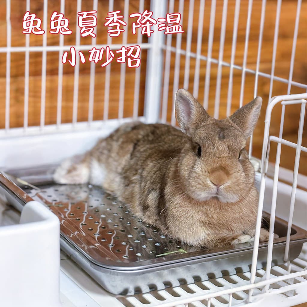 Almofada de gelo para animais de estimação, ninho de coelho de verão, resistente a arranhões, resistente à mordida, resf