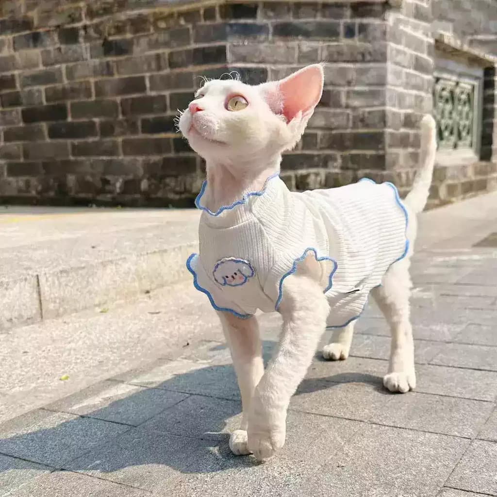 Roupas de gato alemão verão respirável estilo fino Anti-inchaço outono gato sem pêlos Yugui cão pequeno estiramento cole