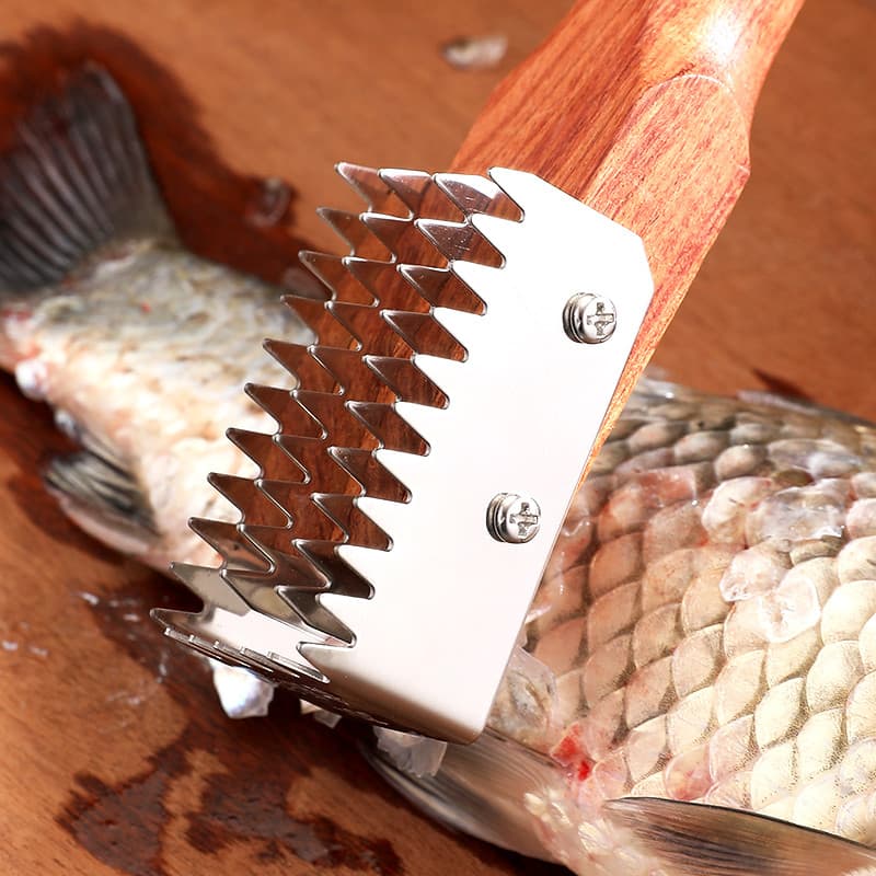 Plaina de escama de peixe em aço inoxidável, raspador de escala, ferramenta para matar peixes, remover escama de peixe,