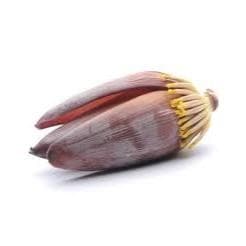 umbigo de bananeira orgânico