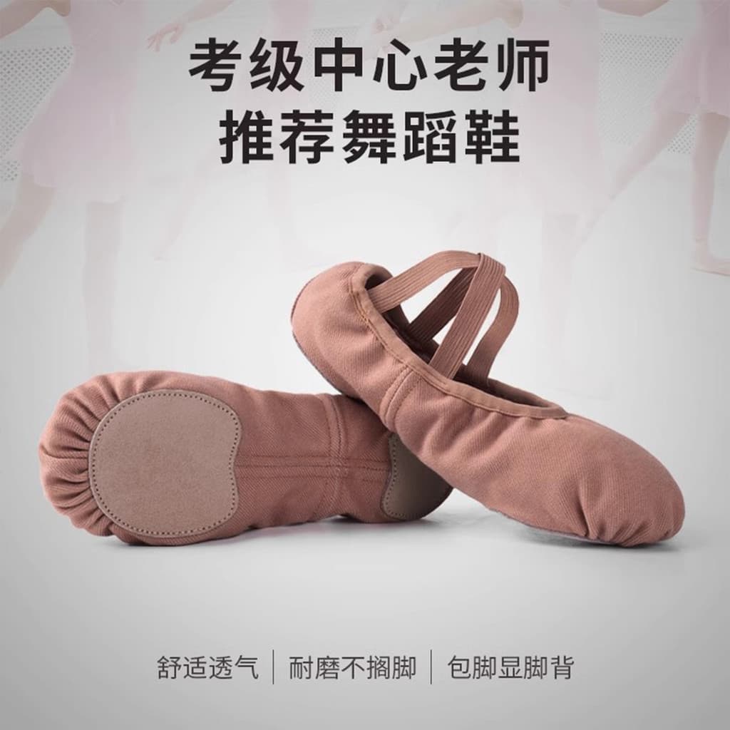 Pano elástico dança 2026 novo estilo sapatos de prática feminino sola macia adulto clássico Ballet dedicado crianças men