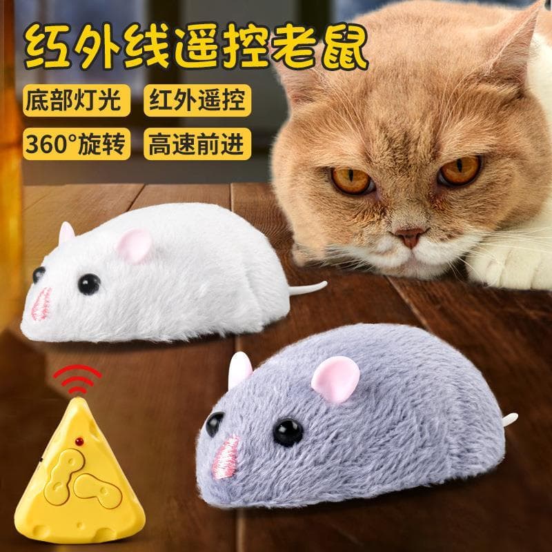Influenciador gato provocando ferramenta útil simulação infravermelho elétrico controle remoto reunindo mouse novidade m