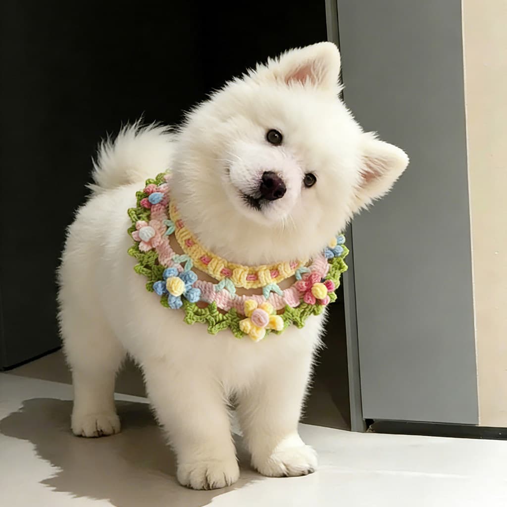 Pet Saliva toalha babador do cão bonito de alto valor pequeno médio tamanho coleira do cão gato babador acessórios de ma