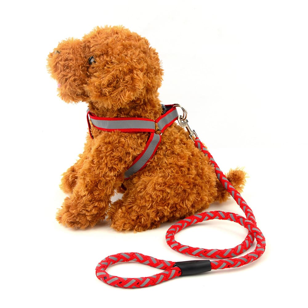 Coleira reflexiva para cães de estimação, coleira pequena e média para cães, pelúcia, Poodle, suprimentos para animais d